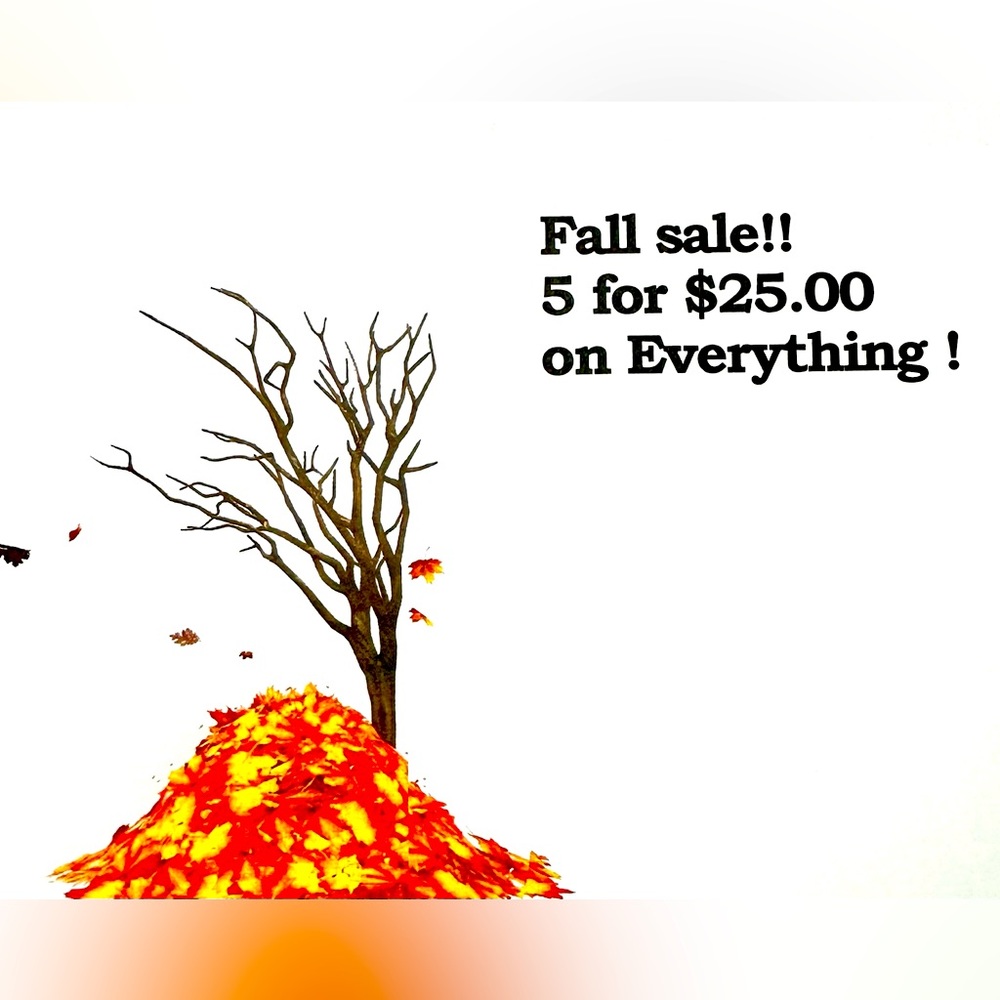 Everything in my closet bags, shirts, jackets, shoes Everything 5 for $25